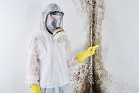 Mold Removal for HVAC Installations